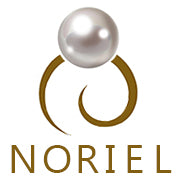 Noriel I/S logo